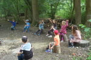 children sat in the woods with their hands up