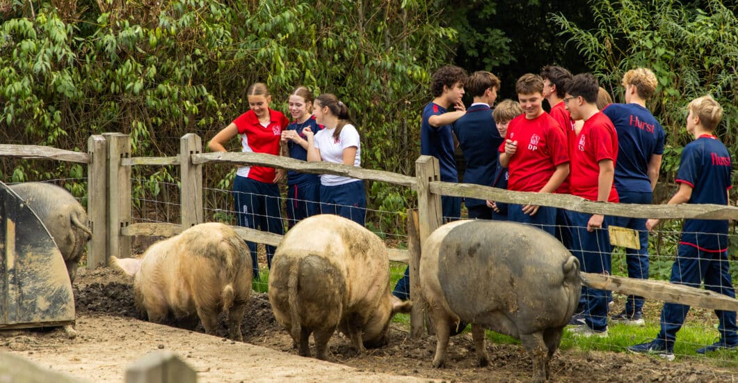 A photograph of pupils from Hurstpierpoint College engaging in a Belonging activity.